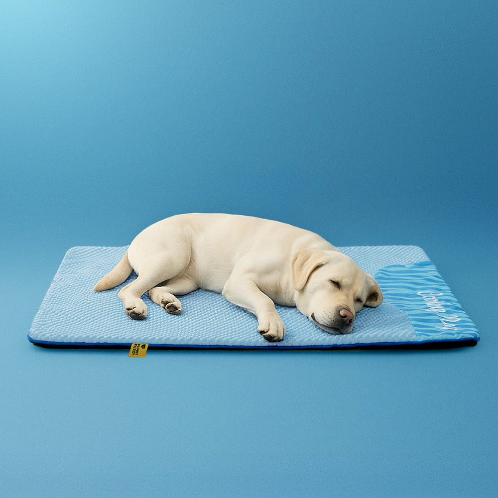 Cooling Dog Bed Mat | Ice Cool Fabric, Breathable | Sofa Floor Outdoor