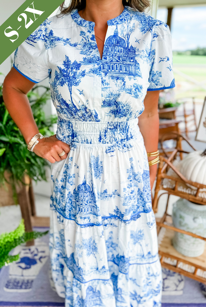 Women's Toile Print Maxi Dress
