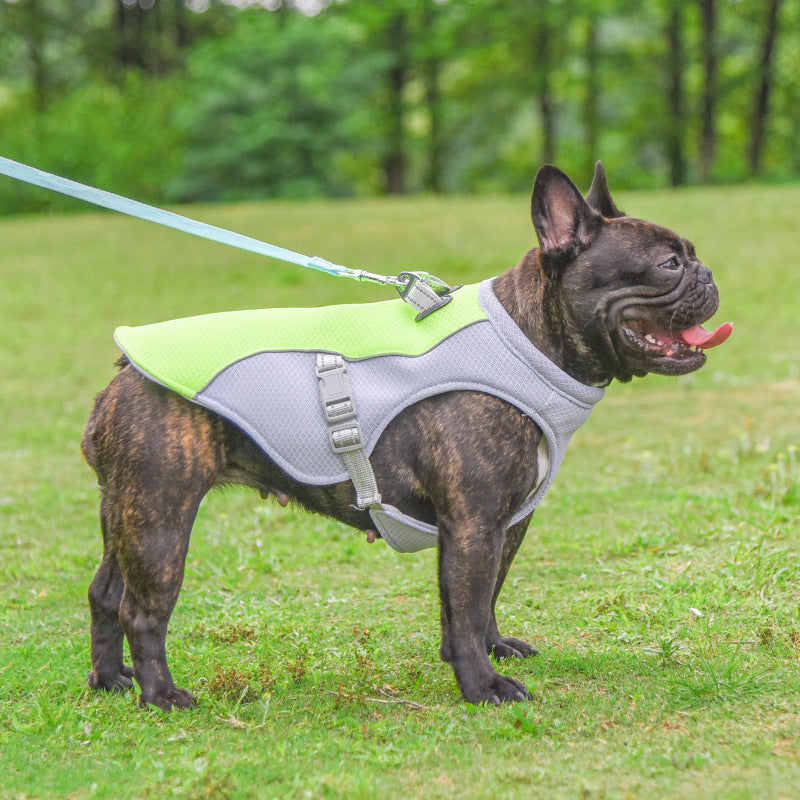 Dog Cooling Vest | Evaporative Heat Relief | Summer Walks