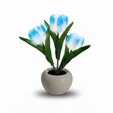 Eternal Bloom Tulip Night Light