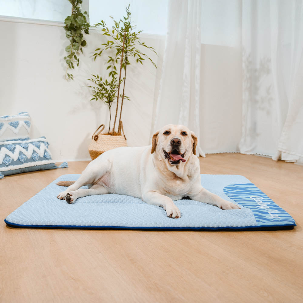 Cooling Dog Bed Mat | Ice Cool Fabric, Breathable | Sofa Floor Outdoor