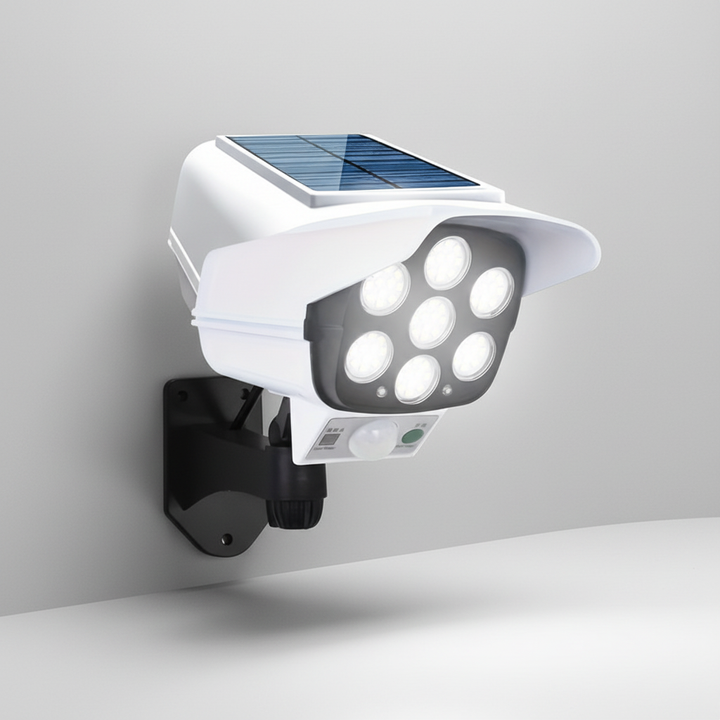 Solar Guard Security Motion Light