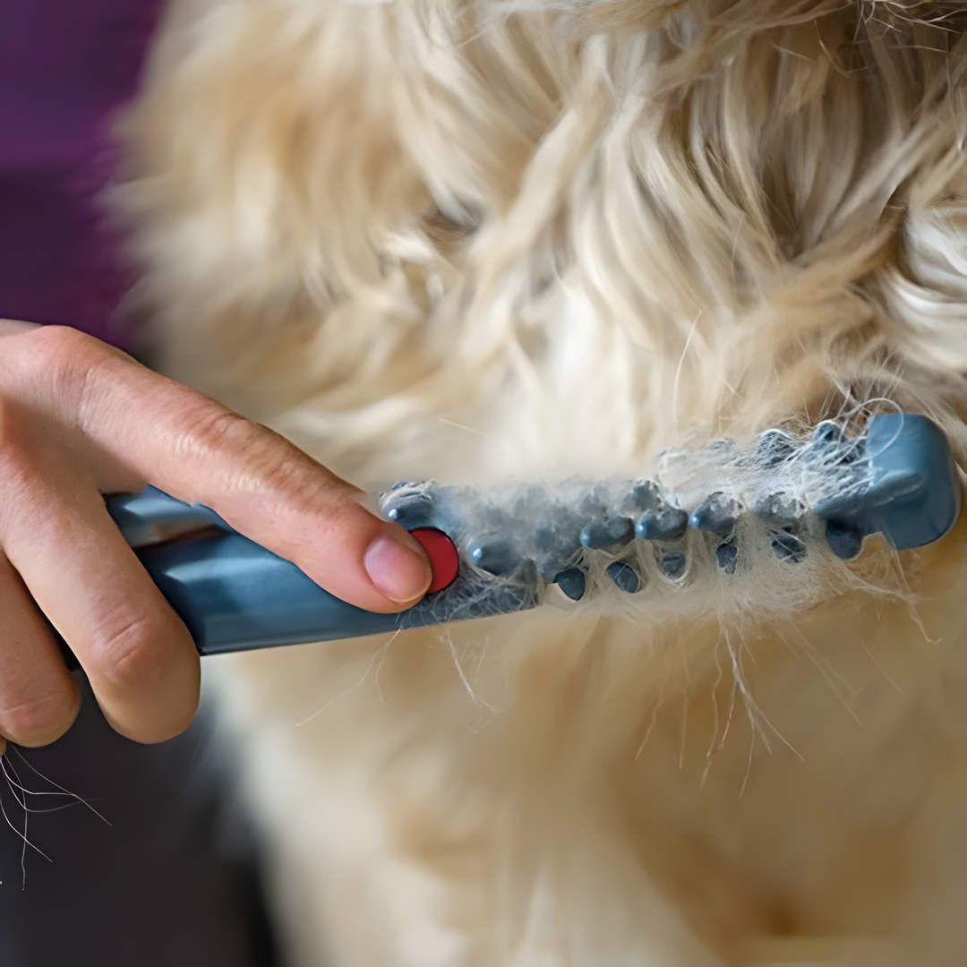 Pet Hair Trimmer │ Gentle Mat & Knot Removal │ Home Grooming │ Grey