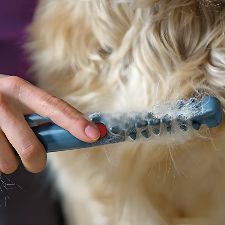 Pet Hair Trimmer │ Gentle Mat & Knot Removal │ Home Grooming │ Grey