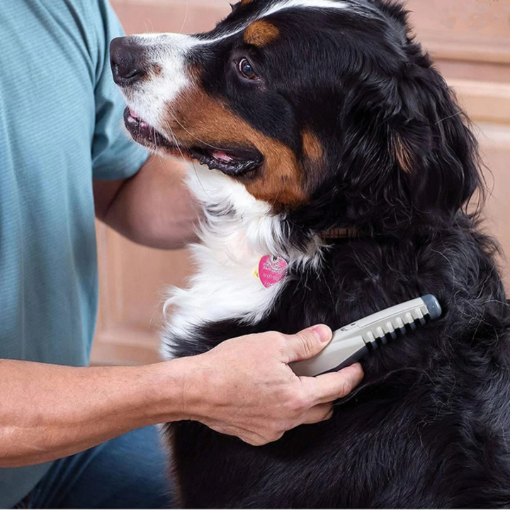 Pet Hair Trimmer │ Gentle Mat & Knot Removal │ Home Grooming │ Grey