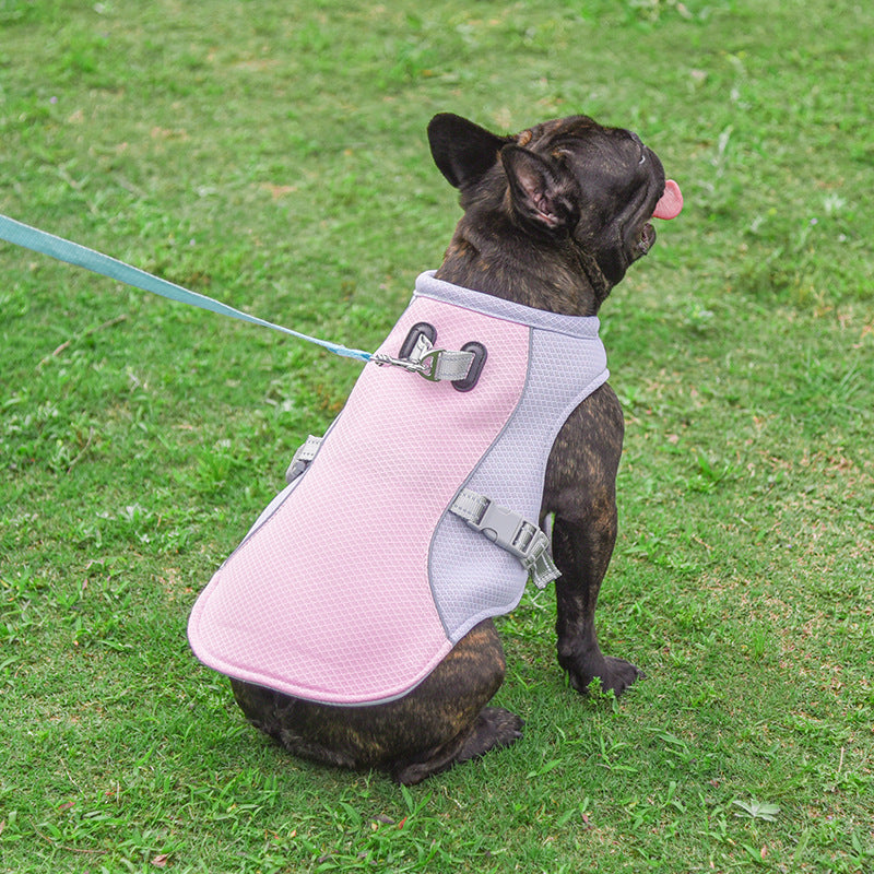 Dog Cooling Vest | Evaporative Heat Relief | Summer Walks