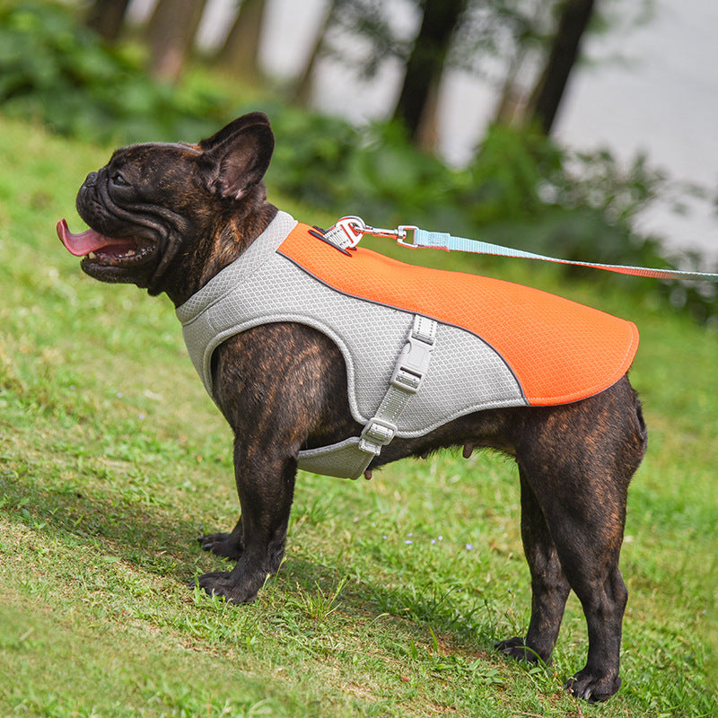 Dog Cooling Vest | Evaporative Heat Relief | Summer Walks