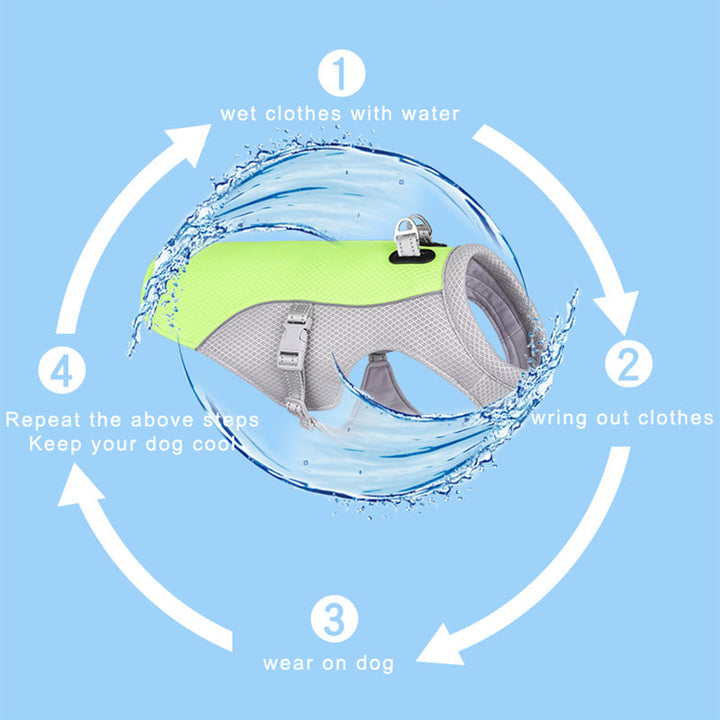 Dog Cooling Vest | Evaporative Heat Relief | Summer Walks
