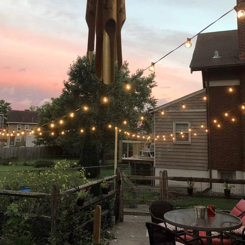 Outdoor LED String Lights │ Dimmable │ Patio, Yard & Tent │ Black