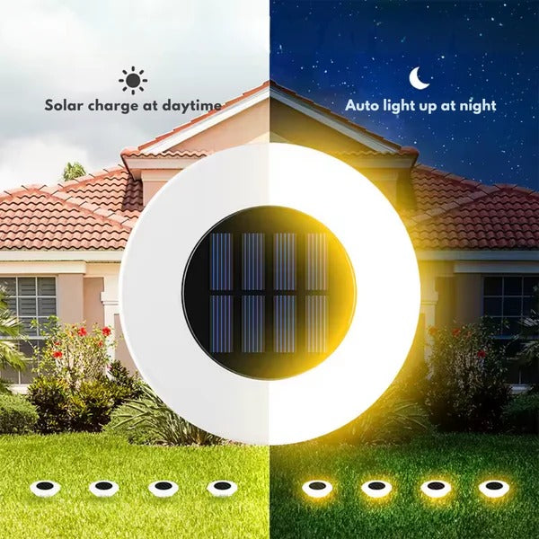 Solar LED Disk Lights │ IP65 Waterproof Rechargeable │ Yard & Path