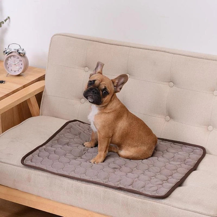 Pet Cooling Mat │ Self-Cooling Gel │ Sofa, Car Seat & Outdoor Crate