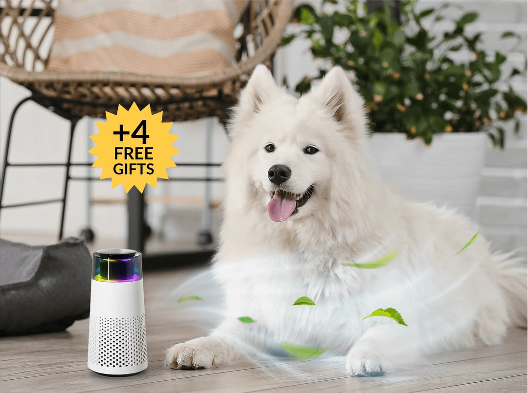 Pet Odor Eliminating Air Purifier