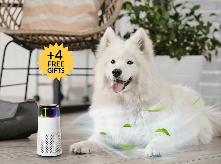 Pet Odor Eliminating Air Purifier