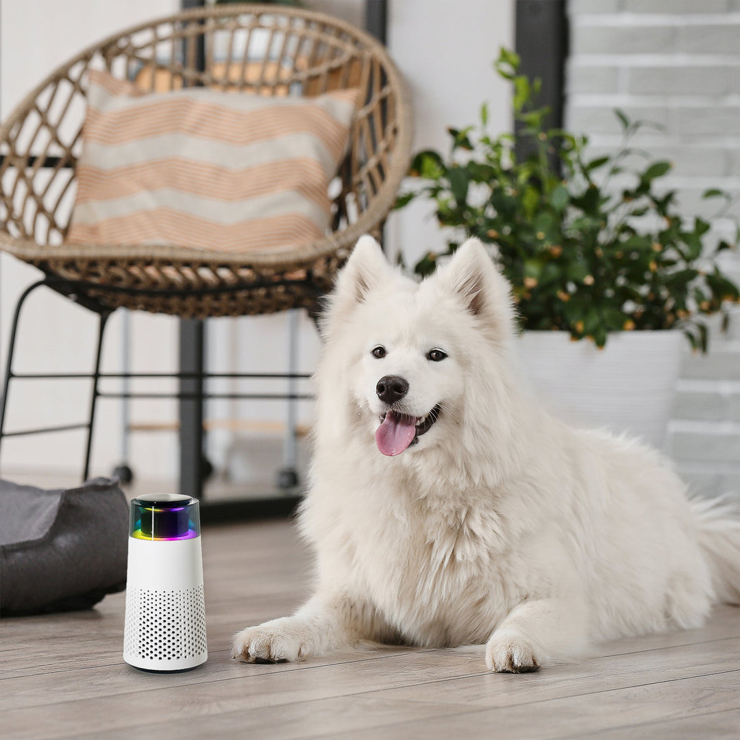 Pet Odor Eliminating Air Purifier