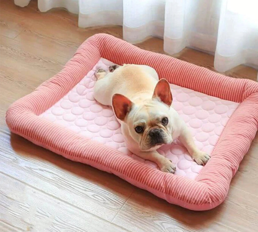 Cooling Dog Bed | Ice Silk Relief | Bedroom & Living Room