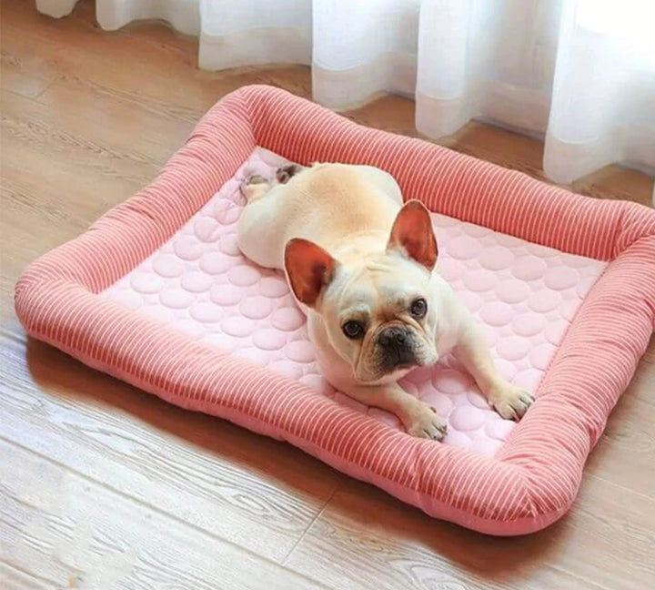 Cooling Dog Bed | Ice Silk Relief | Bedroom & Living Room