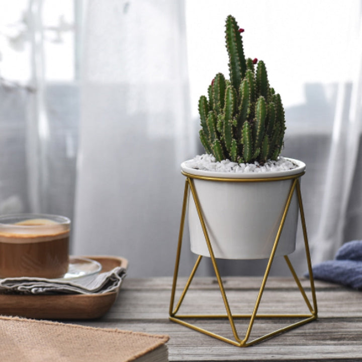 Geometric Iron Rack Flower Pot | Nordic Ceramic Planter | Living Room & Office