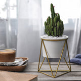 Geometric Iron Rack Flower Pot | Nordic Ceramic Planter | Living Room & Office