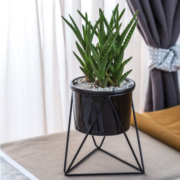 Geometric Iron Rack Flower Pot | Nordic Ceramic Planter | Living Room & Office