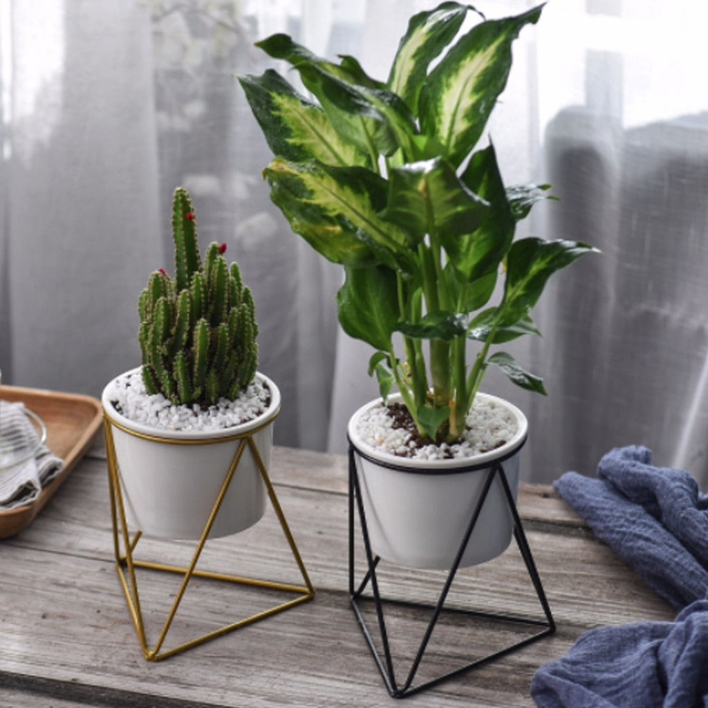 Geometric Iron Rack Flower Pot | Nordic Ceramic Planter | Living Room & Office