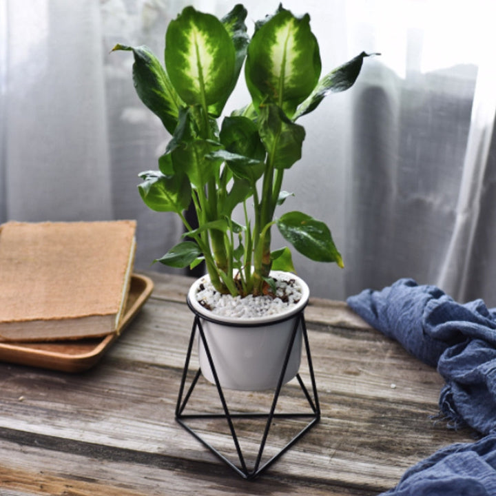 Geometric Iron Rack Flower Pot | Nordic Ceramic Planter | Living Room & Office
