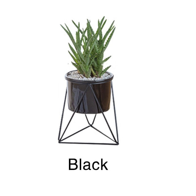 Geometric Iron Rack Flower Pot | Nordic Ceramic Planter | Living Room & Office