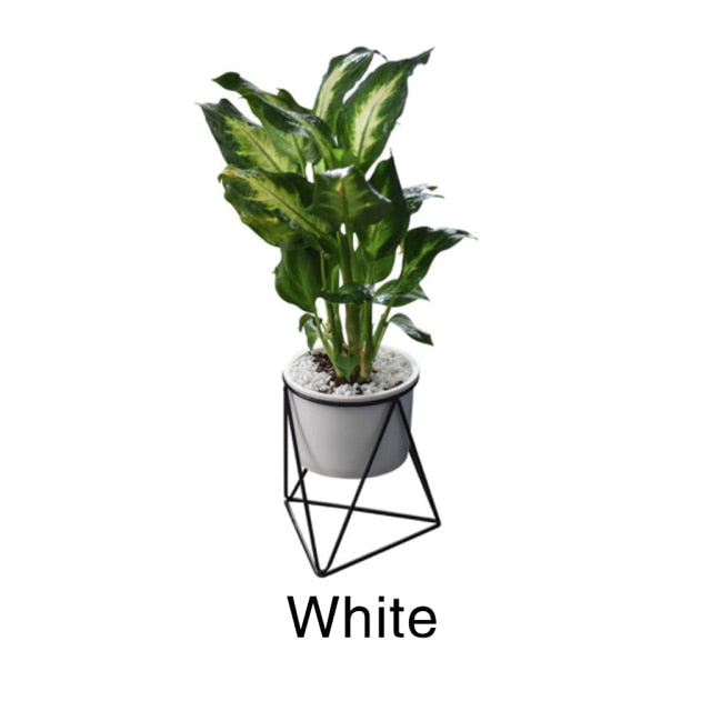 Geometric Iron Rack Flower Pot | Nordic Ceramic Planter | Living Room & Office