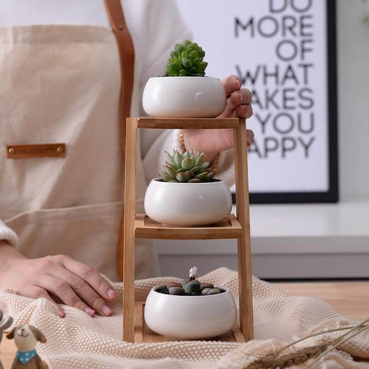 Modern Minimalist White Ceramic Flowerpot | Hand-Carved Planter Set | Desktop | White