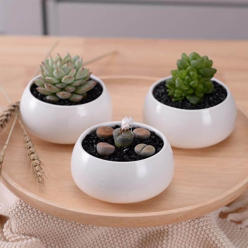 Modern Minimalist White Ceramic Flowerpot | Hand-Carved Planter Set | Desktop | White