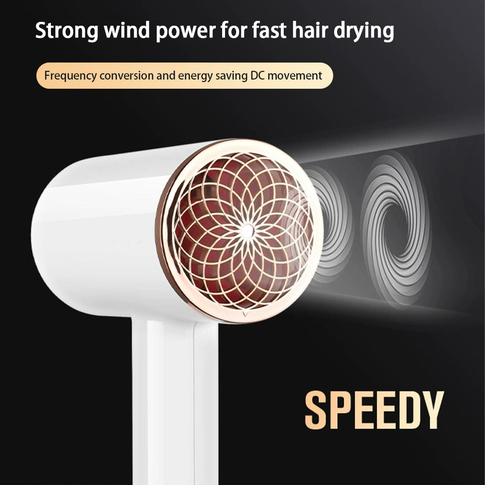 High-Speed Ionic Hair Dryer