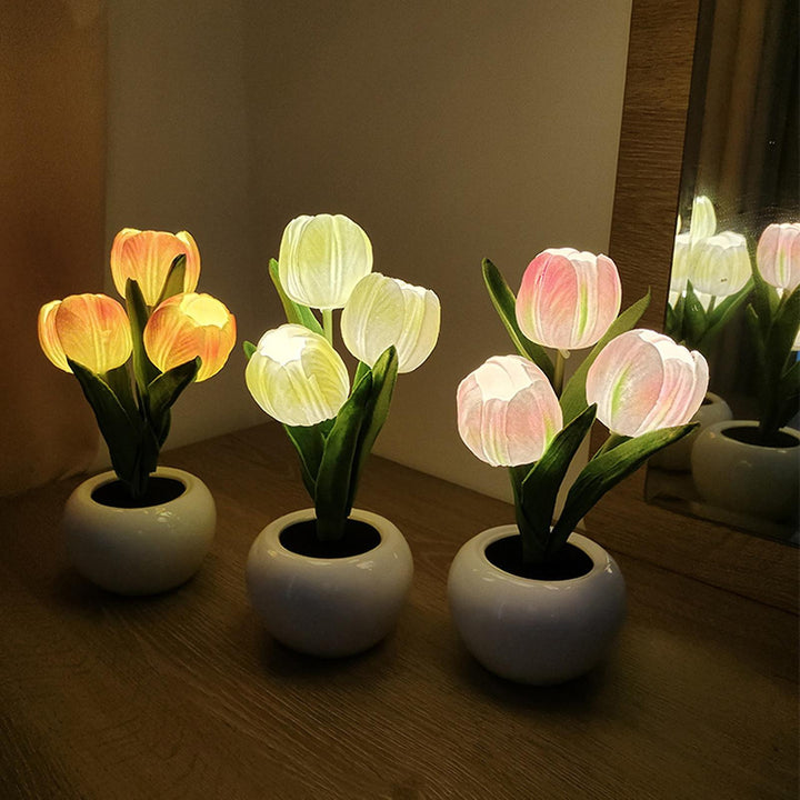 Eternal Bloom Tulip Night Light
